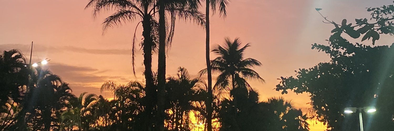 arisirqueira's profile banner image