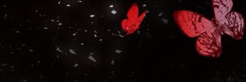 KL32Agrece's profile banner image