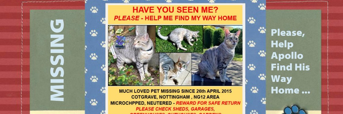 HelpFindApollo's profile banner image