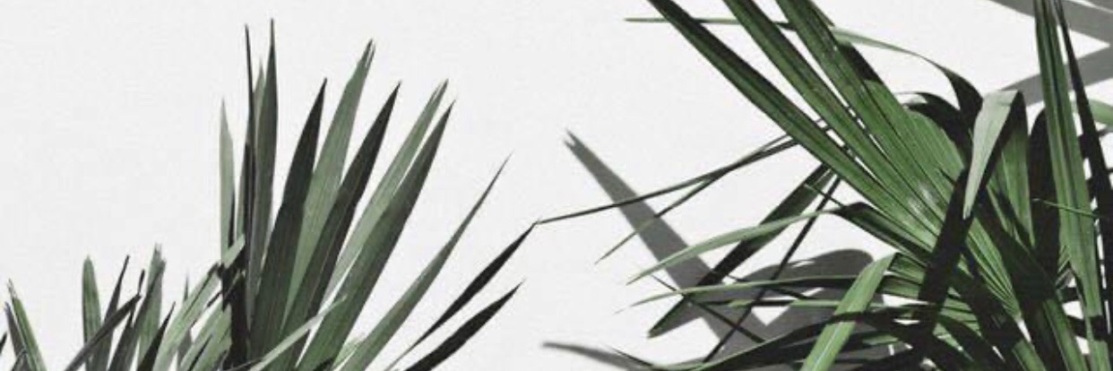 muangma123's profile banner image