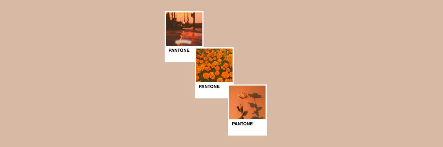 hotpinkfox_'s profile banner image