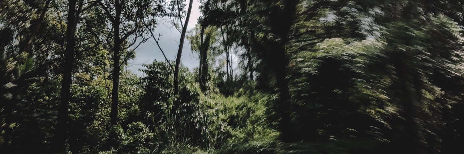 alanhuda_'s profile banner image