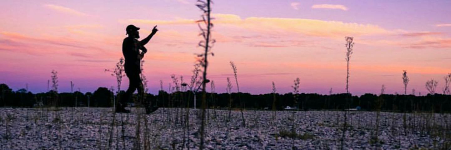 ararevibe's profile banner image