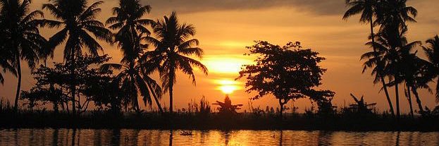 زياد منير الحجيلي banner