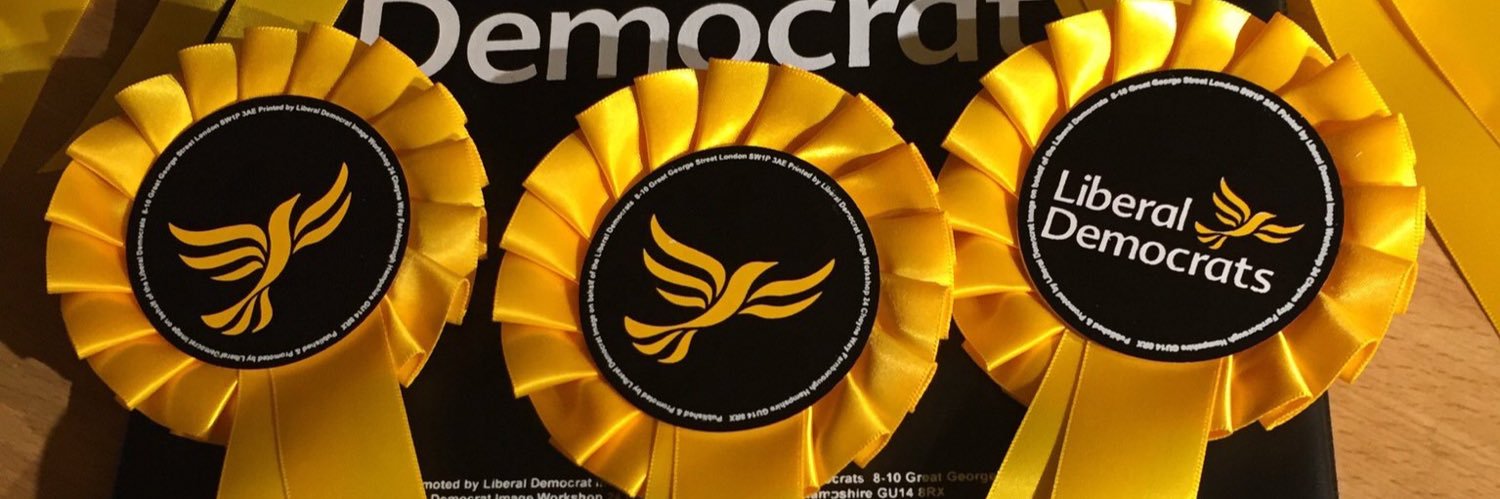 Elmbridge Lib Dems 🔶 banner