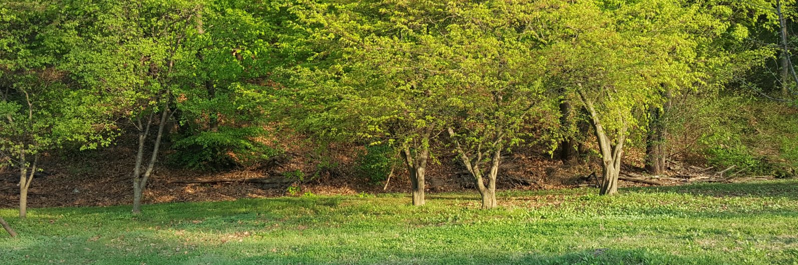 LogiqueArt's profile banner image