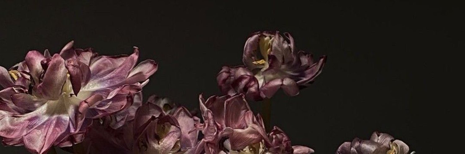 ͏͏͏͏ً banner