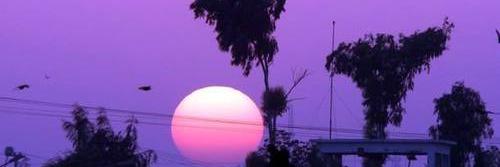 officialLAgang's profile banner image
