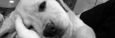emeksezerr's profile banner image