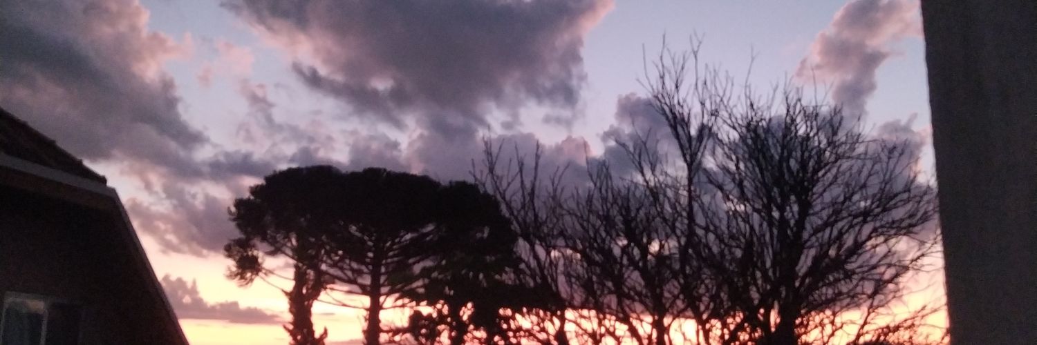 Diogo Marchiori banner