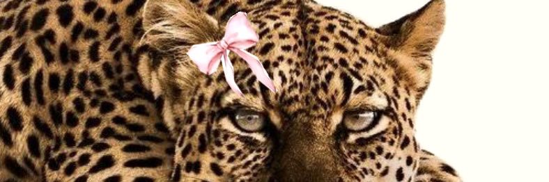 thais_scl's profile banner image