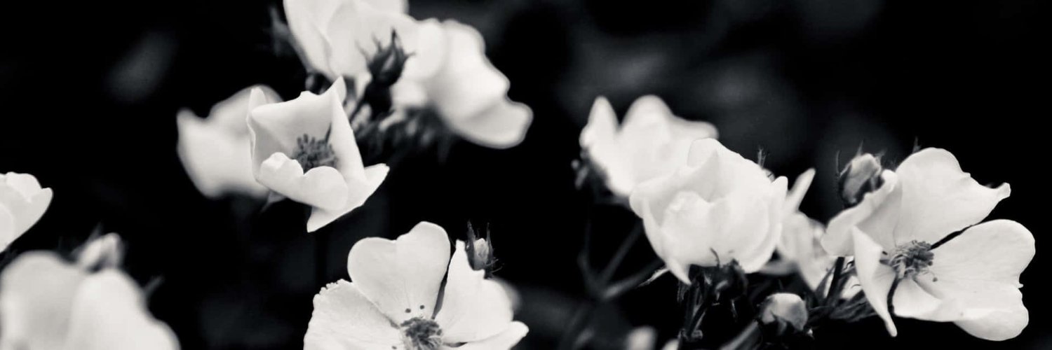 moneyskoolcom's profile banner image