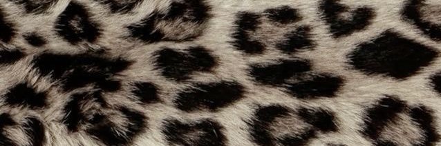 gorevt snotty banner