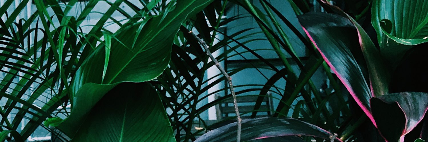 ideosyncretic's profile banner image
