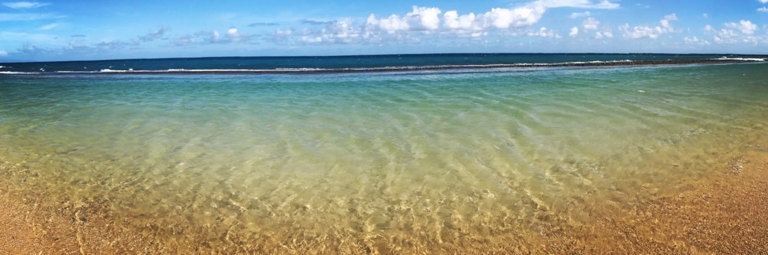 SandycMaui banner