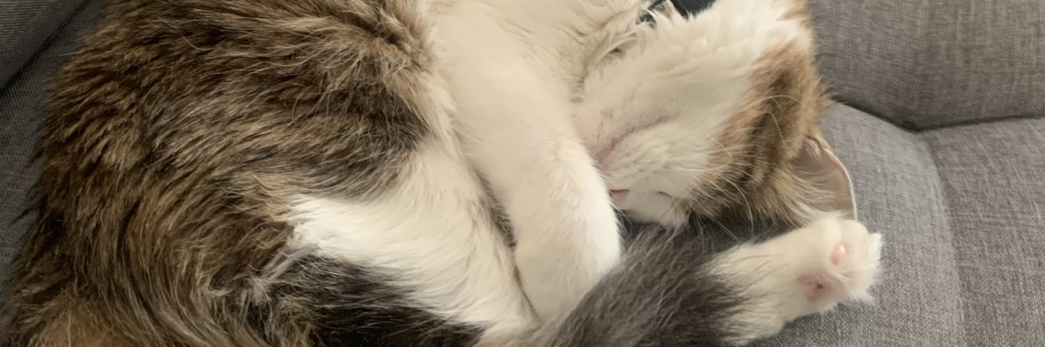 alctrv's profile banner image