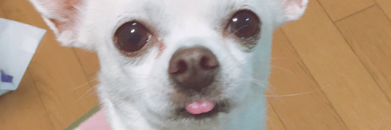itoen_oooiocha's profile banner image