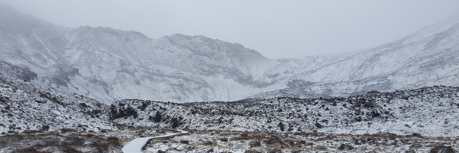 Angus Rogers🌋 banner