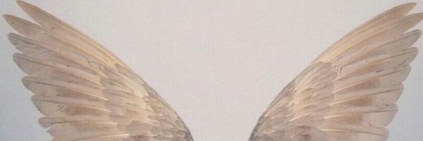 isencv Profile Banner