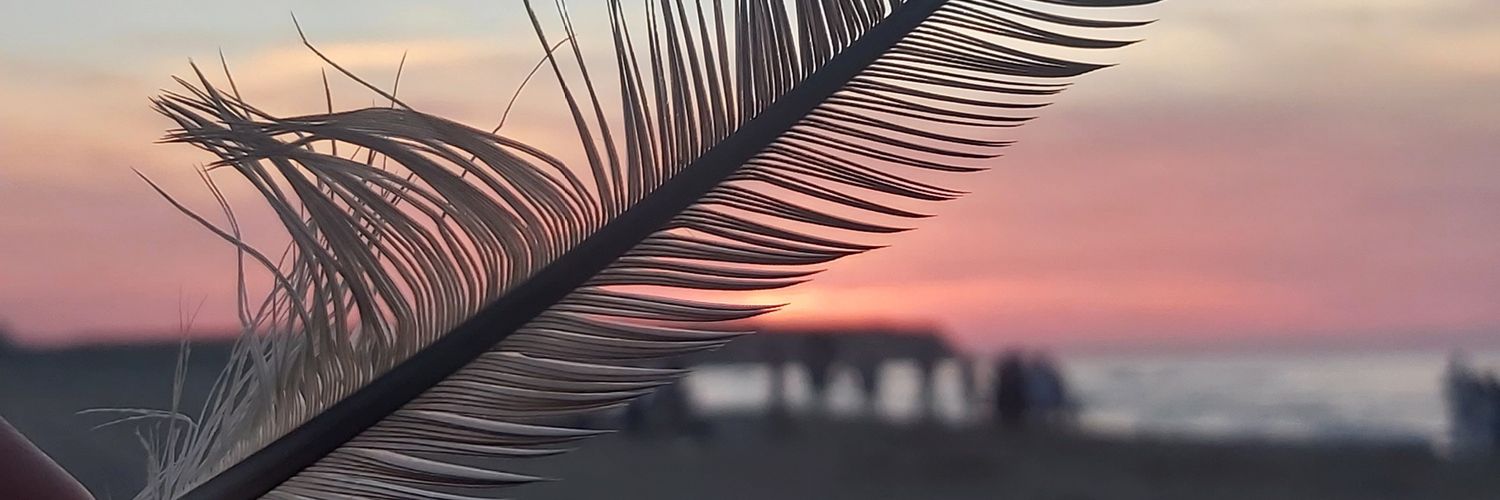 casamilaa's profile banner image