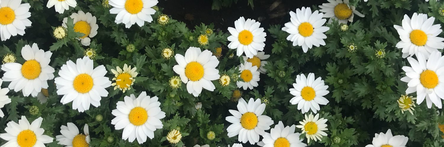 a__0217's profile banner image