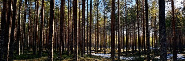 VLinjala Profile Banner