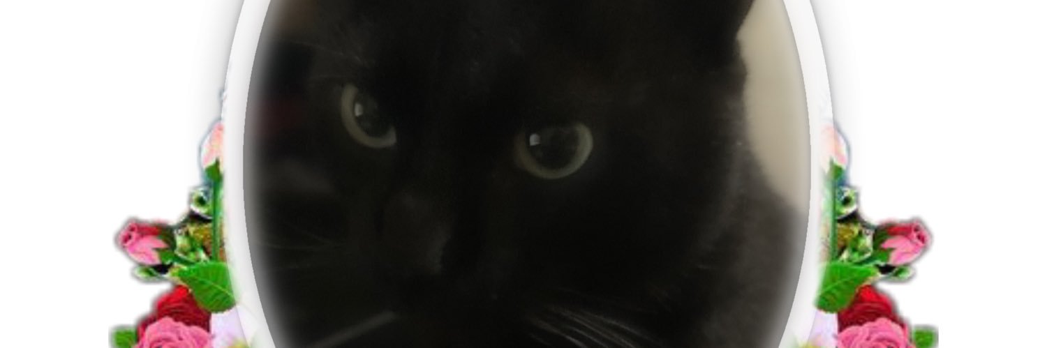 eternalgucci's profile banner image