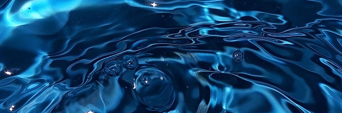 seena118's profile banner image