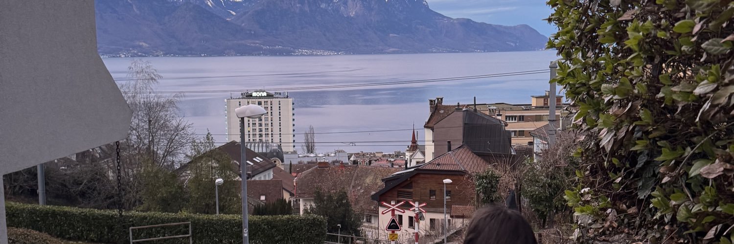 nathan🇨🇭 banner