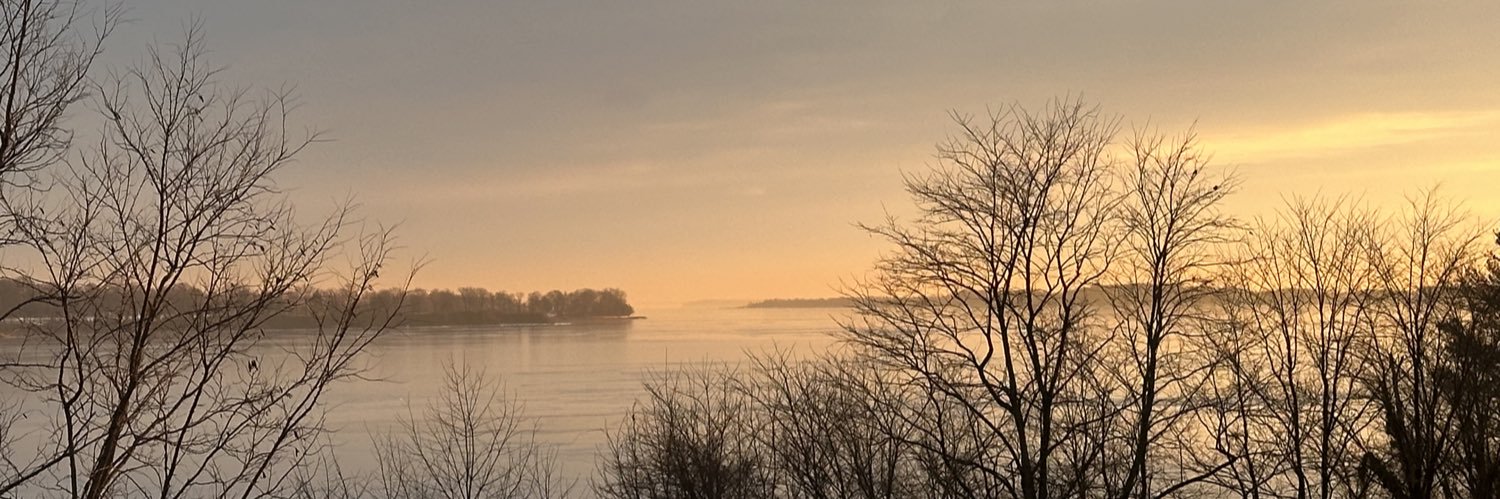 MsSnarkretary's profile banner image