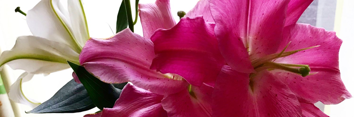 dafam88's profile banner image