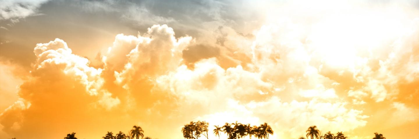 Ely_Cir's profile banner image