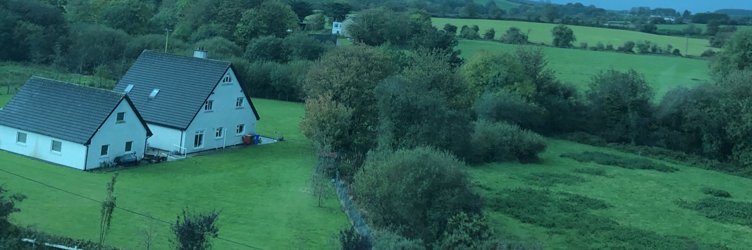 Shane Mullally banner