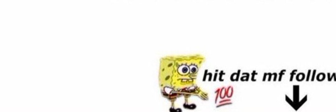 Dumb Cat banner