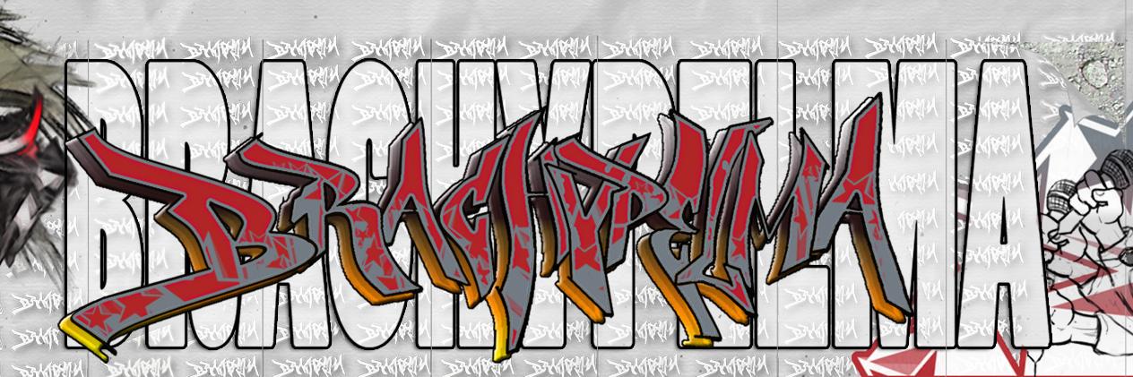 brachypelma01's profile banner image