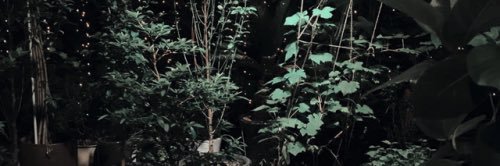 𝑯𝑬𝑰𝑫𝑰. banner