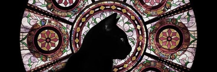 Flostve's profile banner image