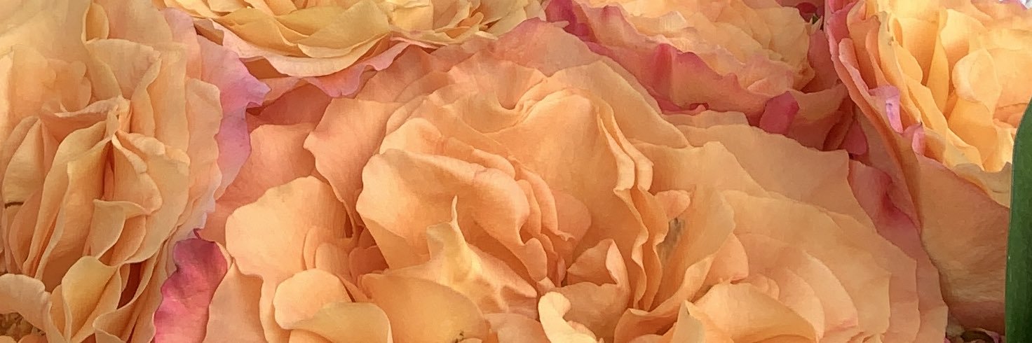 leeahjoz's profile banner image