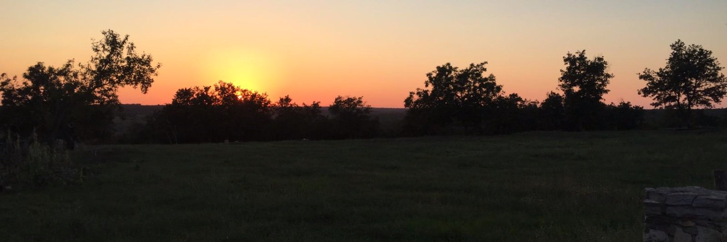 emmanuele 🇪🇺 banner