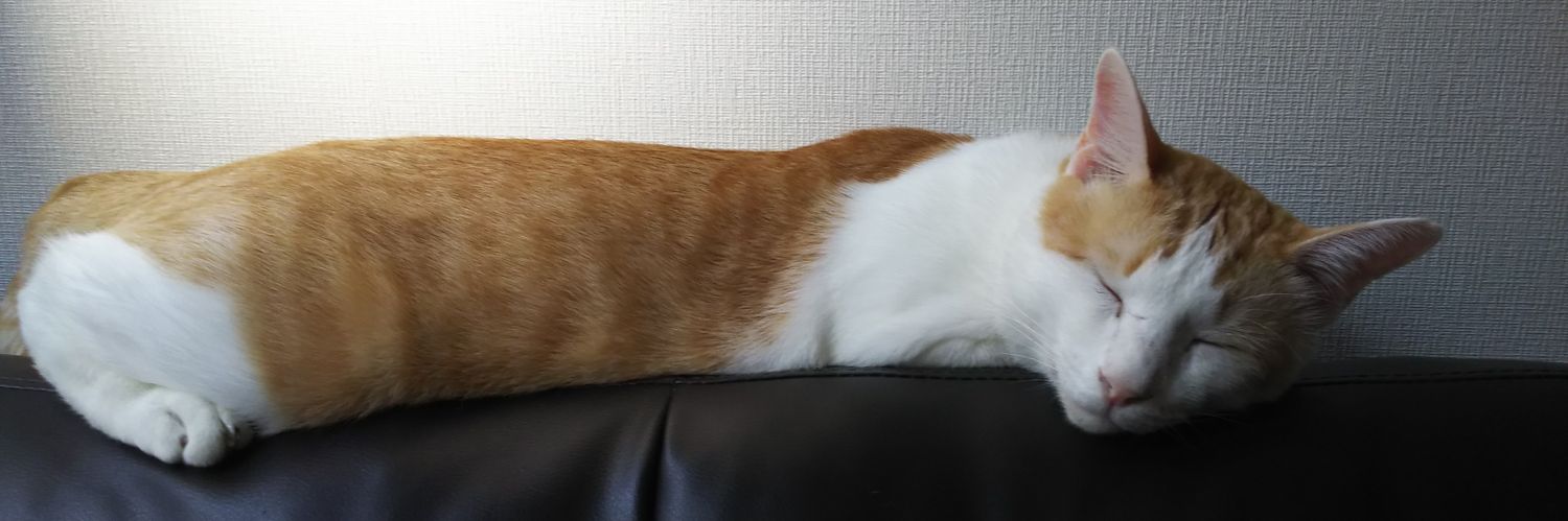 emitaro82's profile banner image