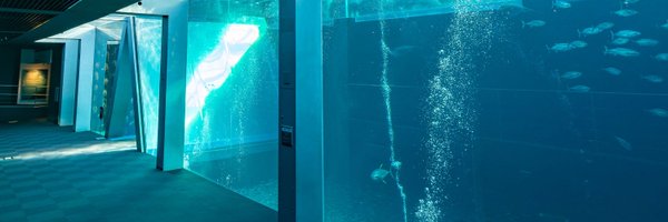 ALGA_RIUM Profile Banner