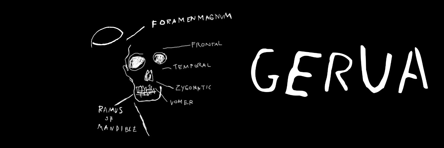 gervaok's profile banner image