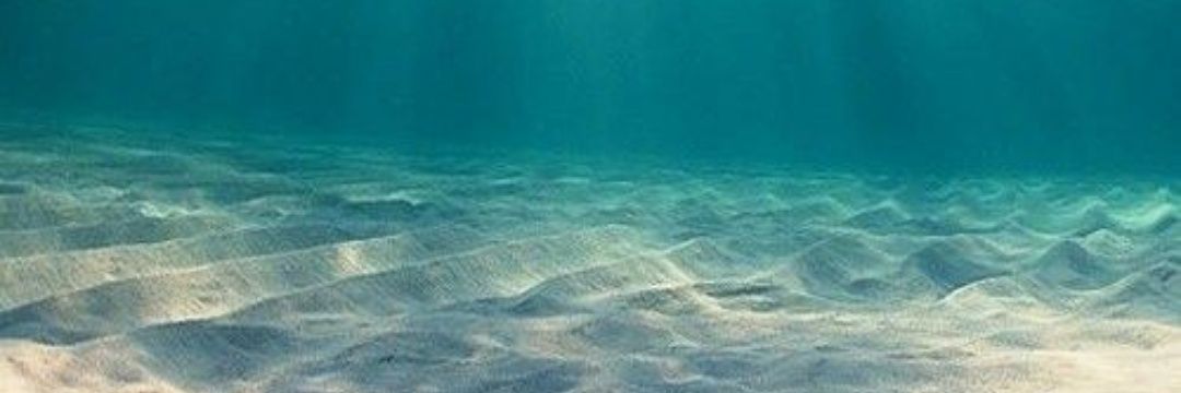 aytekinkayaa's profile banner image