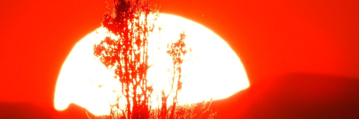 OptimoSeptimo's profile banner image