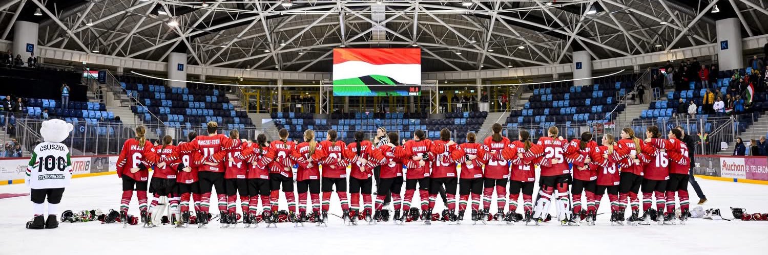 Delaney Collins banner