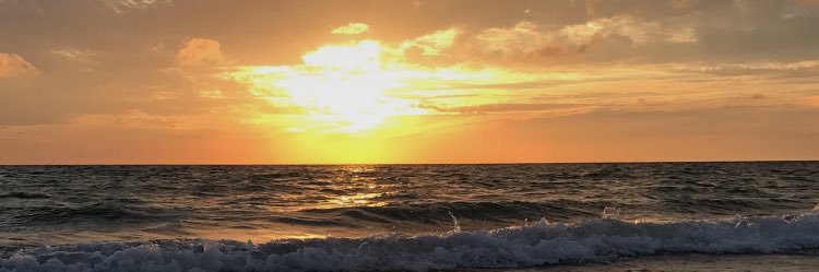 perrnnaa's profile banner image