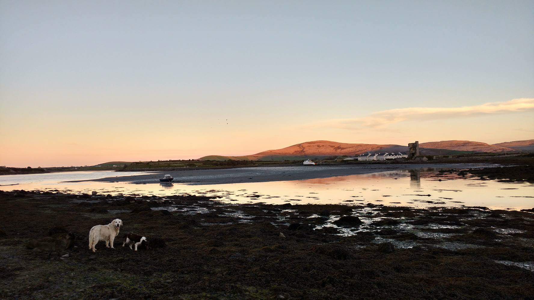 Blathnaid Mahon banner