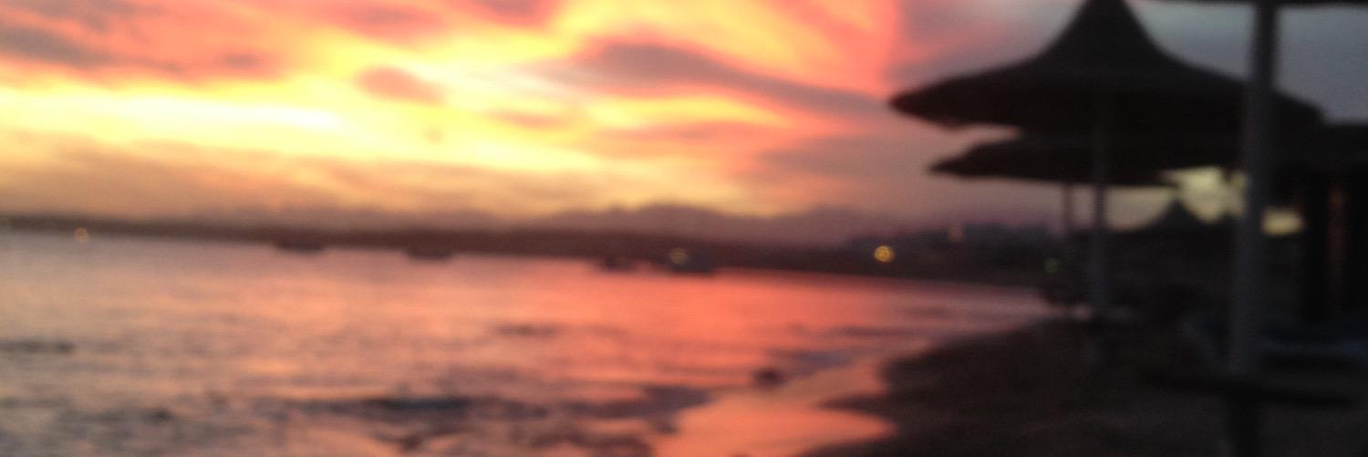 abbeyflowerdes1's profile banner image