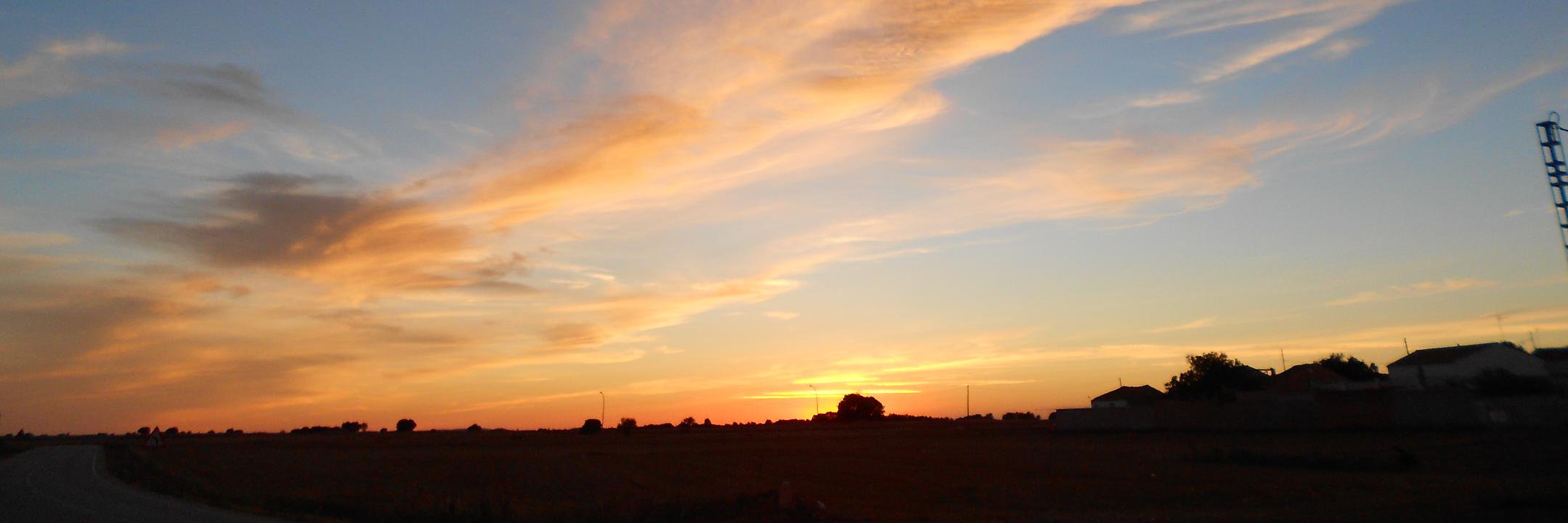 pardo8419's profile banner image