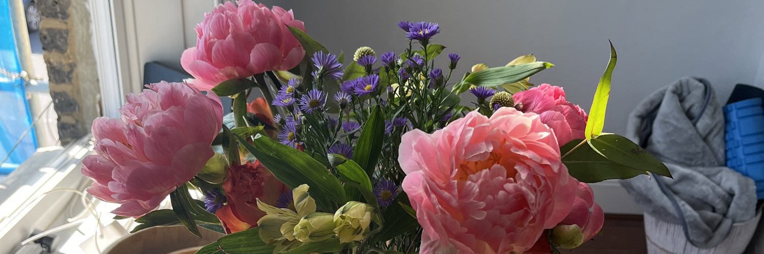 lucyweigall's profile banner image